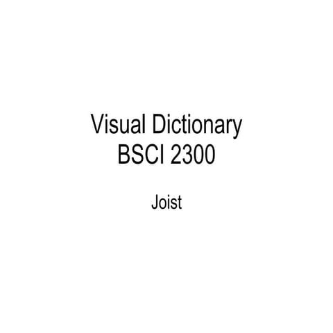 Joist Visual Dictionary 3