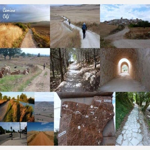 Jolantas' Camino de Santiago