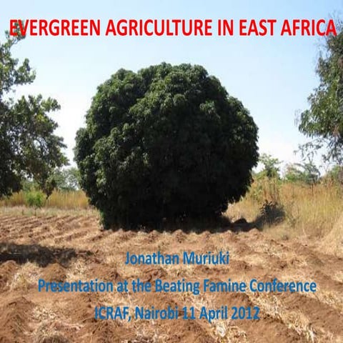 Jonathan Muriuki: Evergreen Agriculture in East Africa #BeatingFamine