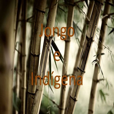 Jongo e indígena