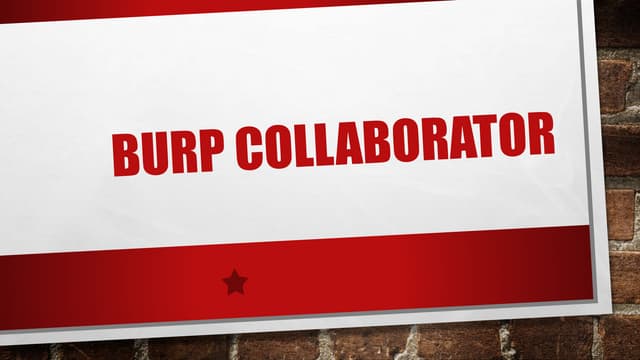 Jon Gorenflo - Burp Collaborator