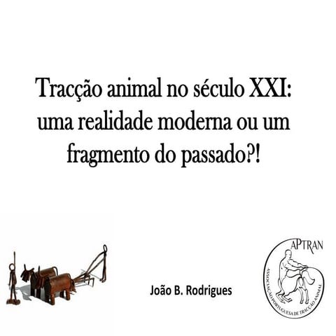 João Rodrigues - be IN Bragança