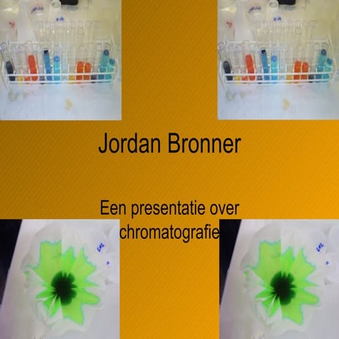 Jordan Presentatie Scheikunde | PPT