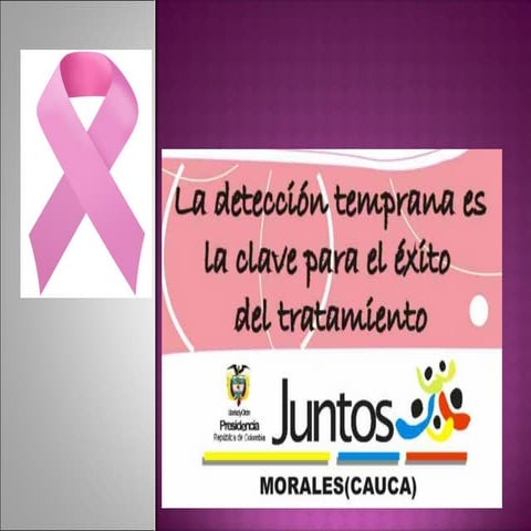 Jornada de examen de seno