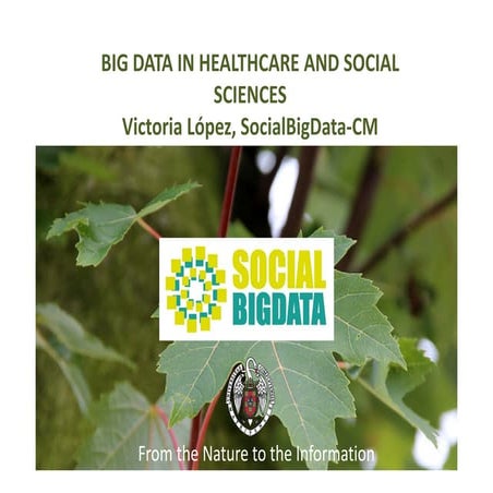 Jornada leiden short