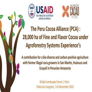 The Peru Cocoa Alliance: 28,000ha o...
