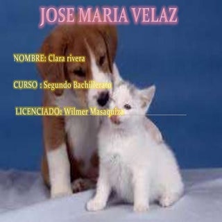 Jose maria velaz