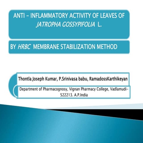 ANTI - INFLAMMATORY ACTIVITY OF LEAVES OF JATROPHA GOSSYPIFOLIA  L.