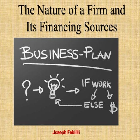 Joseph Fabiilli | The Nature of a Firm and Its Financing Sources
