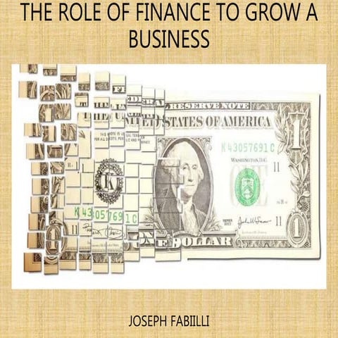Joseph Fabiilli | The role of finance to grow a Business