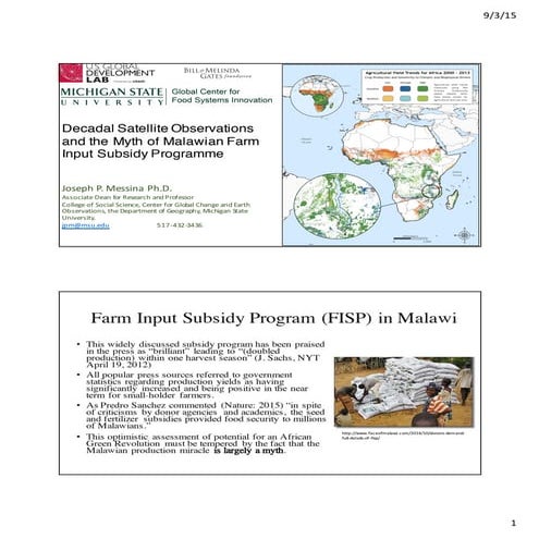 Decadal Satellite Observations and the Myth of Malawian Farm Input Subsidy Pr...