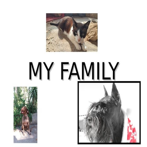 Josep´s family