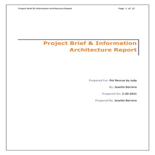 Josette Borrero Content audit and Strategy 