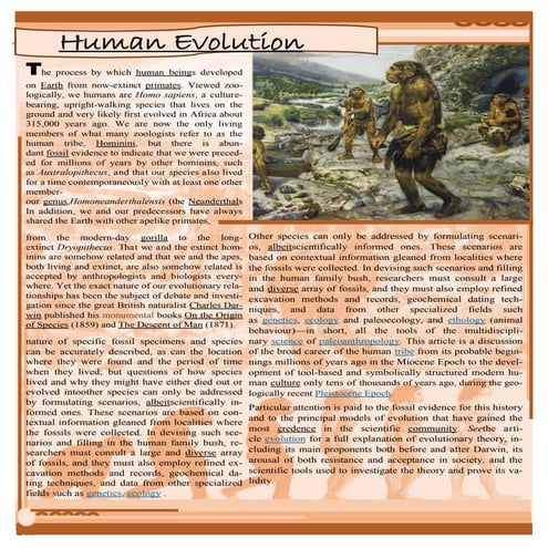 The evolution of human and ape hand proportions | PDF