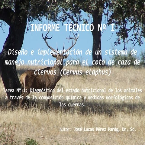 José Lucas Pérez Pardo Dr. Sc. Diseño e Implementación de un Sistema de Manej...