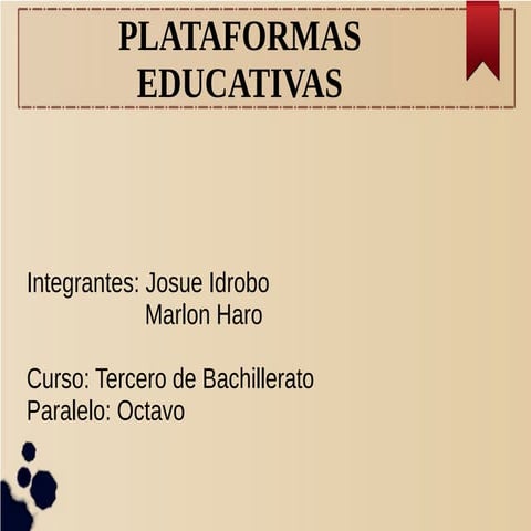 Plataformas Virtuales