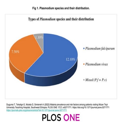 journal.pone.0271771kkkkkkkk.g001 (3).ppt