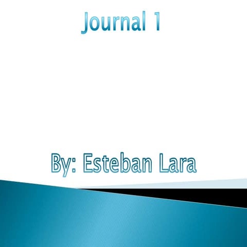Journal 1