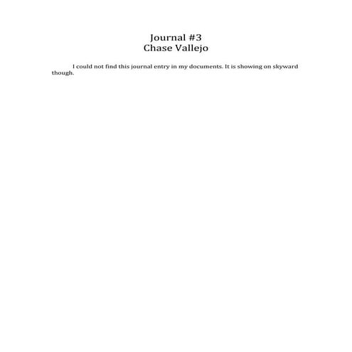 Internship Summary Paper Docx