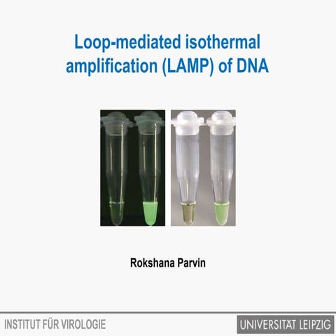 Loop Mediated Isothermal Amplification | PPTX