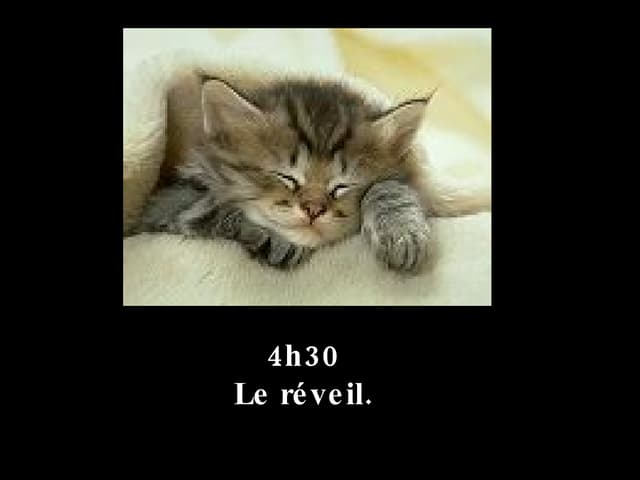 La journee de boulot