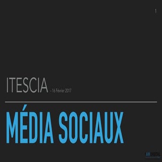 itescia media sociaux 2017