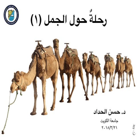 Journey around the camel