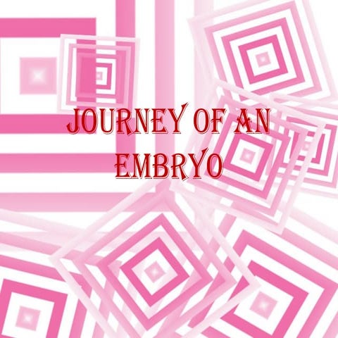 Journey of an embryo...development biology