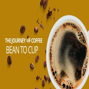 Journey of Coffee PPT, bean to cup - basic level | PPTX