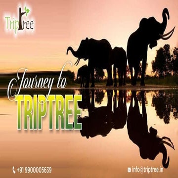 Journey to trip tree