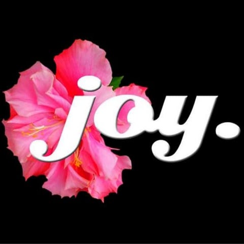 Joy 3.
