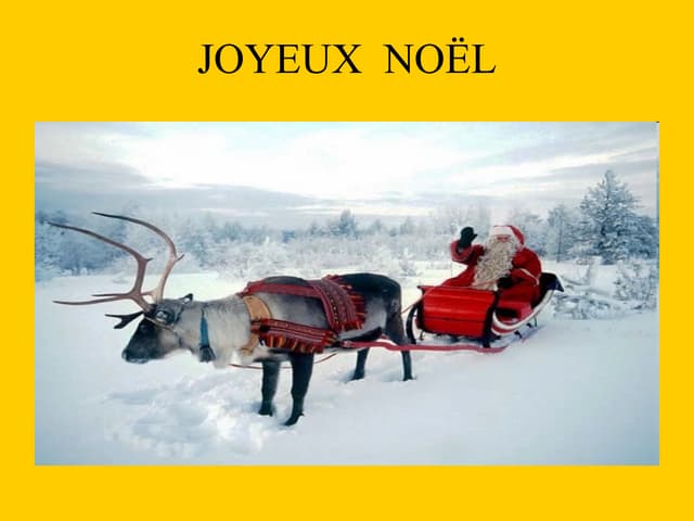 Joyeux NoëL Araceli