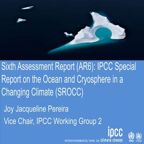Day 3 - Sixth Assessment Report (AR6) process (including focus on SR on Ocean...