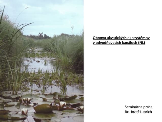 Obnova_ekosystémov_v_odvodňovacích_kanáloch_NL