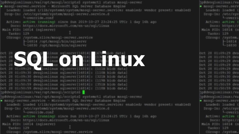 SQL on Linux