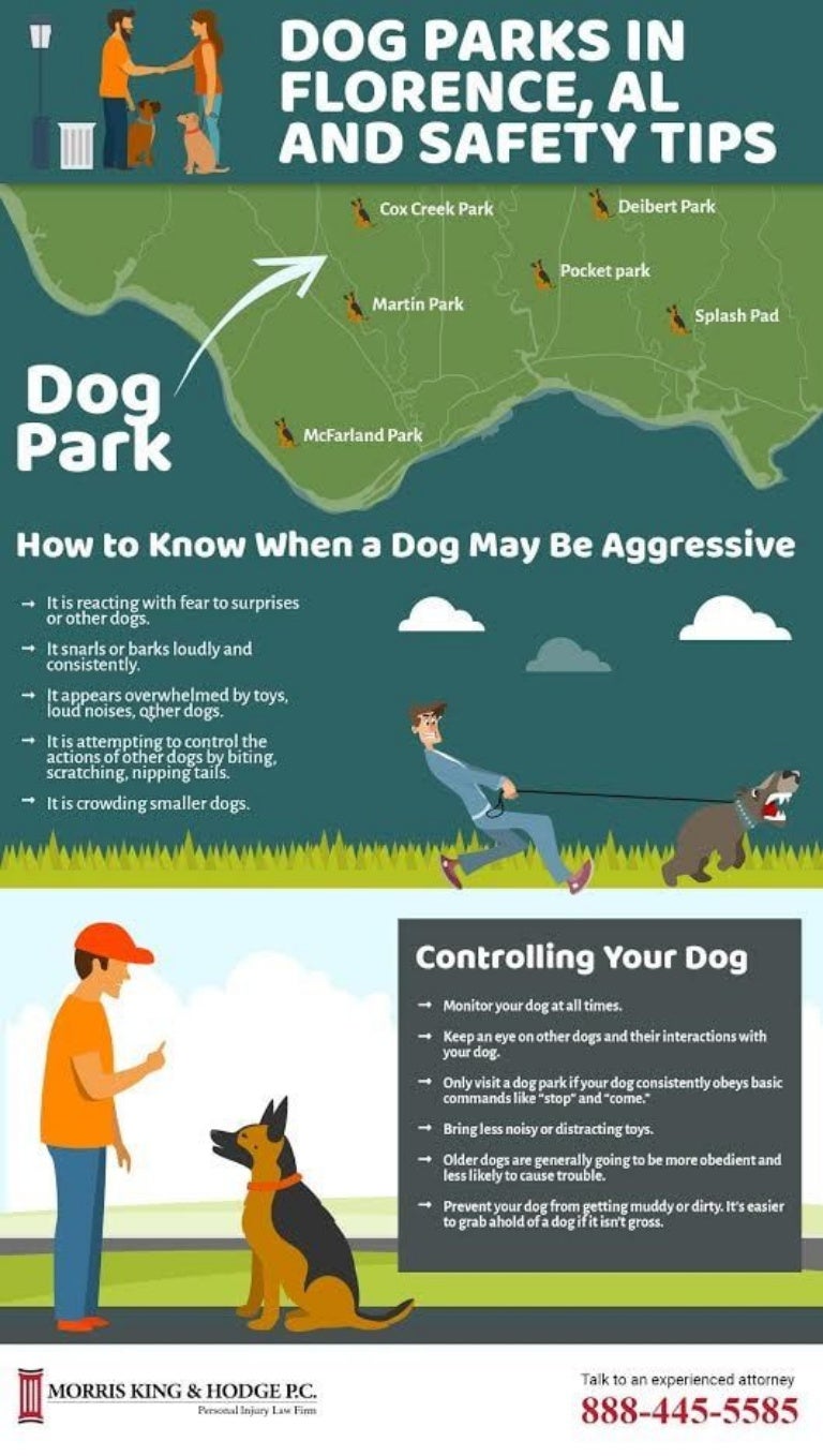 Dog Park Safety Tips