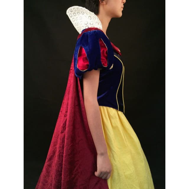 Snow White costume 8567