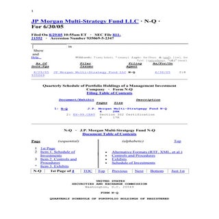 Jp Morgan multi strategy fund