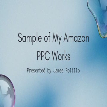 Jpolillo Amazon PPC - Bid Optimization Sample | PDF