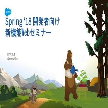 Spring '18 開発者向け新機能