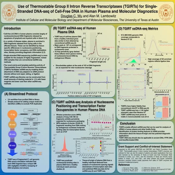 Use of Thermostable Group II Intron Reverse Transcriptases (TGIRTs) for ...