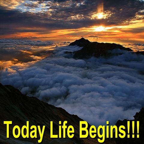 16 personality today is life