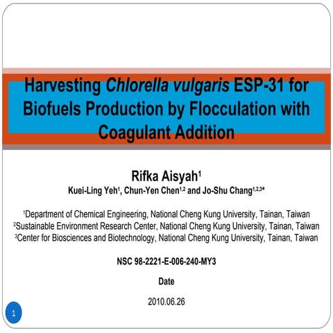 Jsc revised rifka-presentation for-990626_(revised[1]