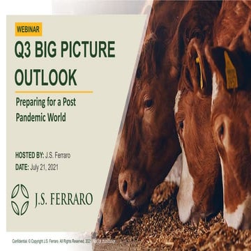 J.S. Ferraro Q3 2021 Big Picture Market Outlook Webinar