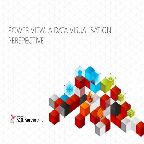 Power View from the Data Visualisation Perspective