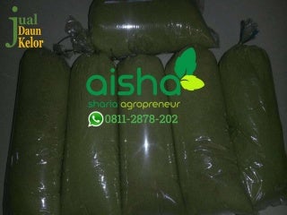 Jual 0811 2878-202, jual daun kelor malang, jual daun kelor malaysia, jual daun kelor medan