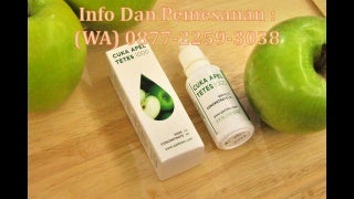 Wa +62 877-2259-3038 Cuka Apel Itu Apa Sih
