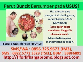 agen slot winrate tinggi