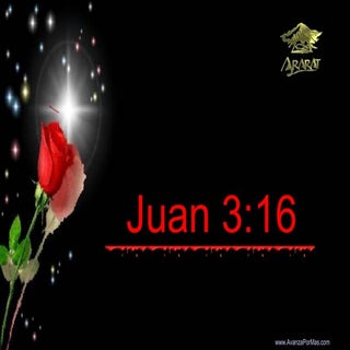 Juan 3 16