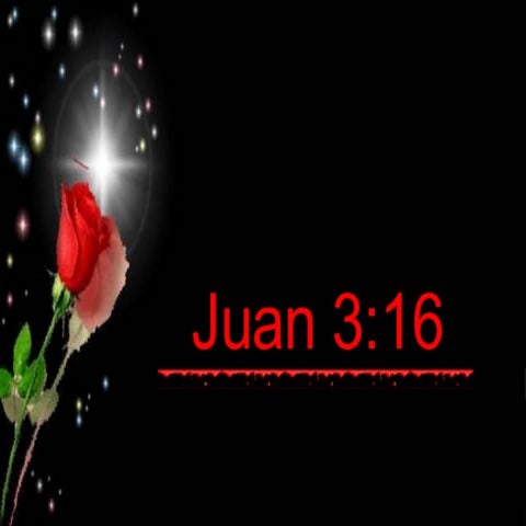 Juan316